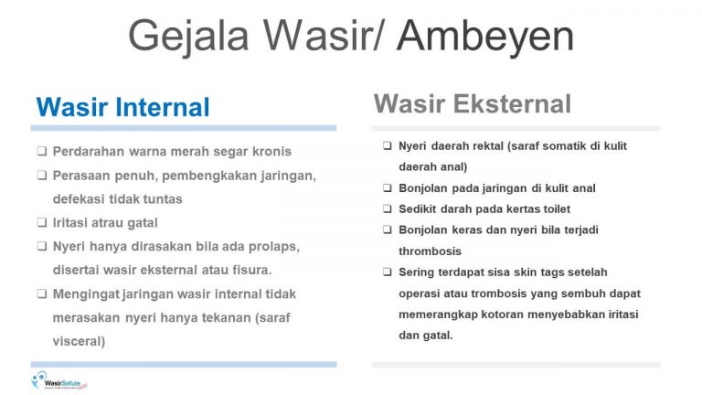 img-slide-presentation-update-artikel-wasir (8)